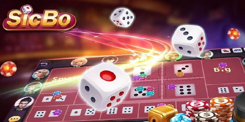 Loại cược chính trong sicbo