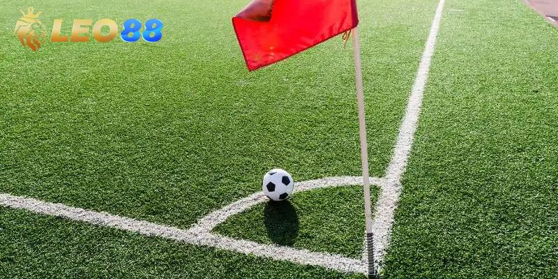 Mẹo cá cược ăn thưởng lớn cho bet thủ