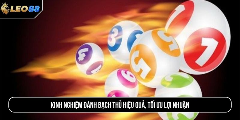 Kinh nghiệm đánh bạch thủ hiệu quả, tối ưu lợi nhuận 