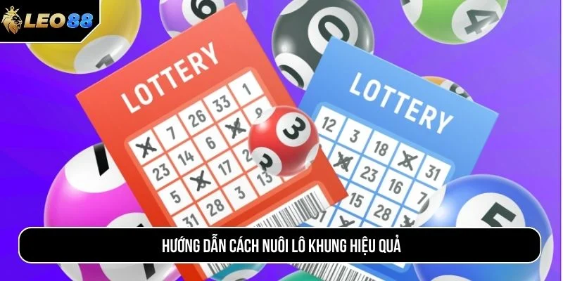 Tham khảo cách nuôi lô khung hiệu quả